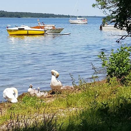 Ferienwohnung Am Schweriner See Raben Steinfeld المظهر الخارجي الصورة