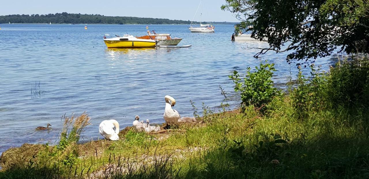 Ferienwohnung Am Schweriner See Raben Steinfeld المظهر الخارجي الصورة